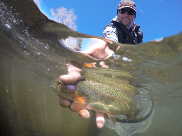 FULL DAY FLOAT