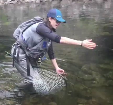 How To: Properly Handle Trout for Catch & Release Fly Fishing